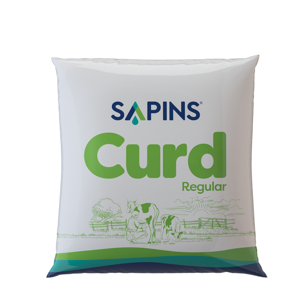 regular-curd-500ml-sapins-dairy